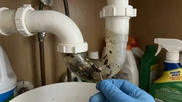 A blue-gloved hand holding a removed P-trap packed with grime under a sink with cleaning bottles beside it